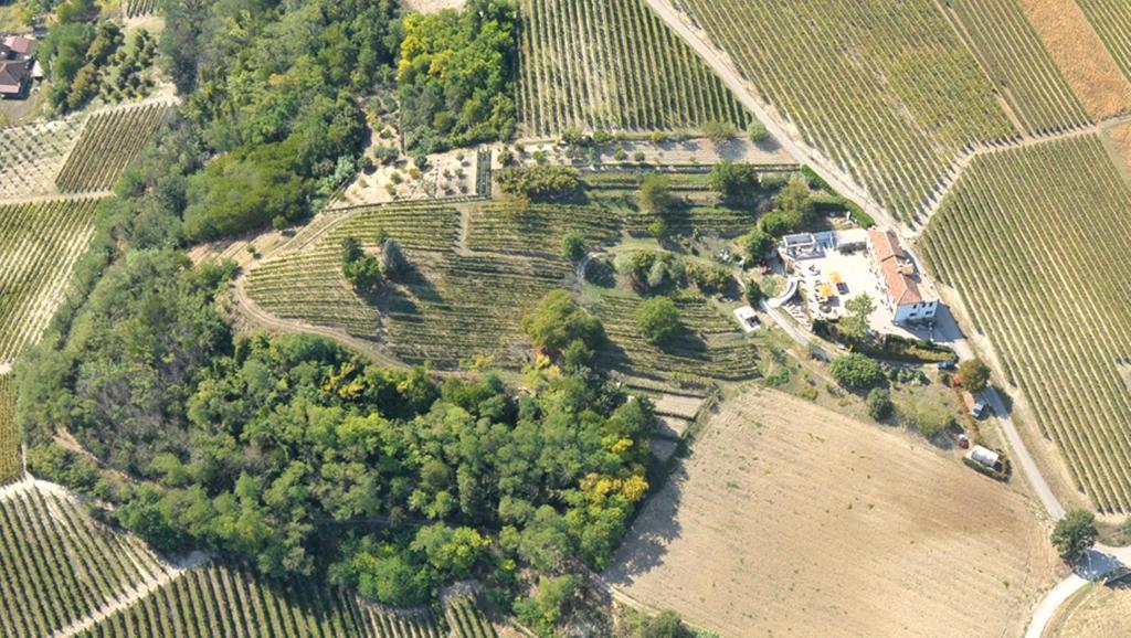 Cascina San Michele Bed & Breakfast Costigliole d'Asti Bagian luar foto