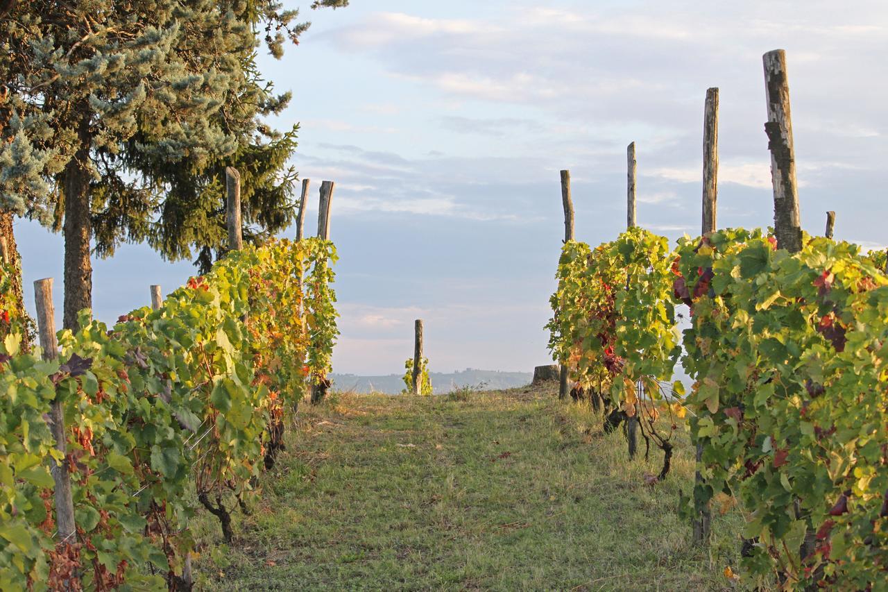 Cascina San Michele Bed & Breakfast Costigliole d'Asti Bagian luar foto